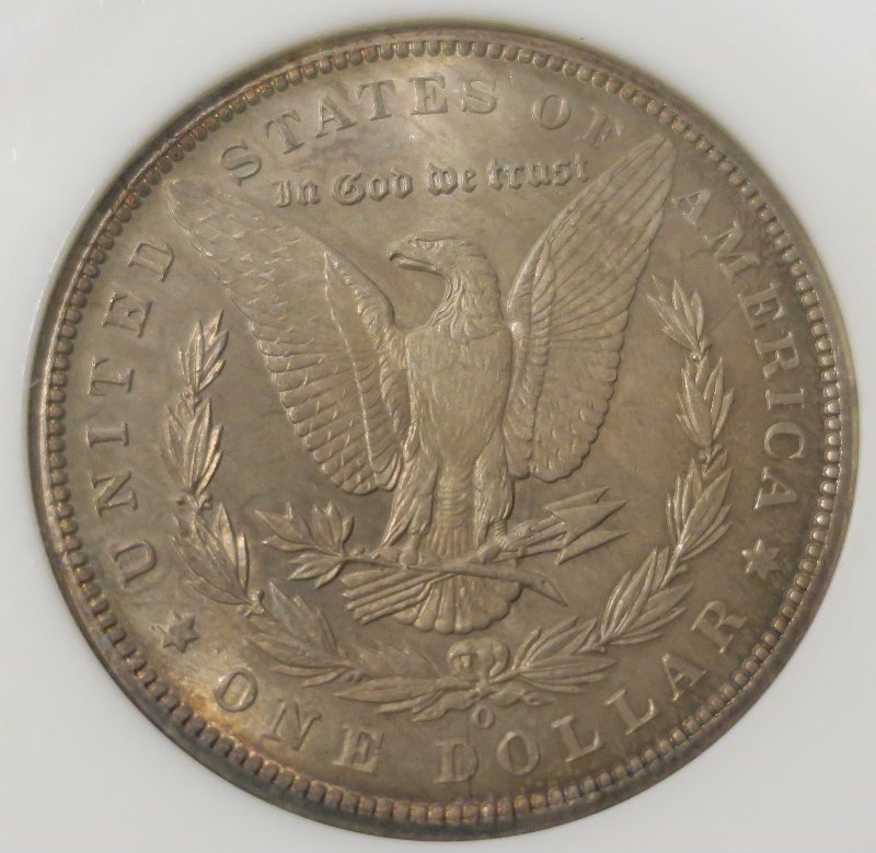 You-Vs-NGC-1899-O-Morgan-Dollar